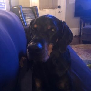 Meet your Posher, Eric